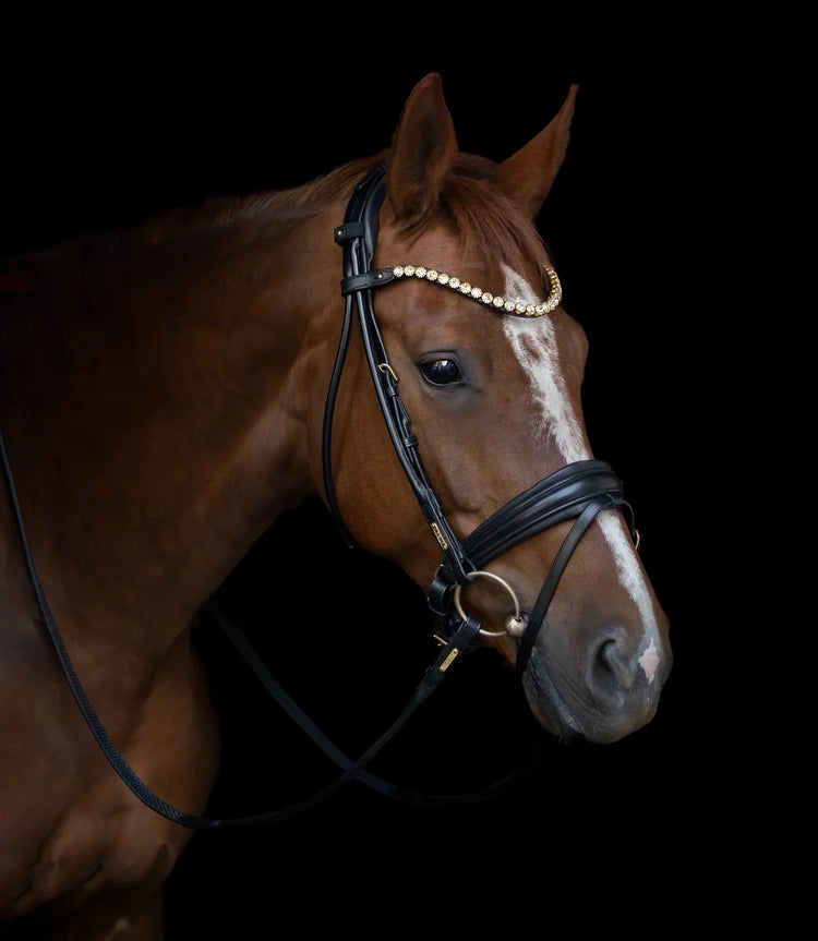 Saddlery - N P Equestrian & Pet Supplies Ltd 