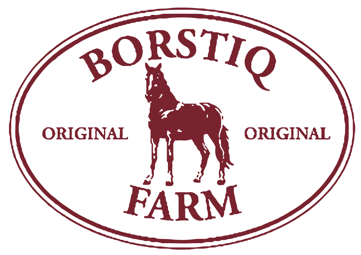 Borstiq