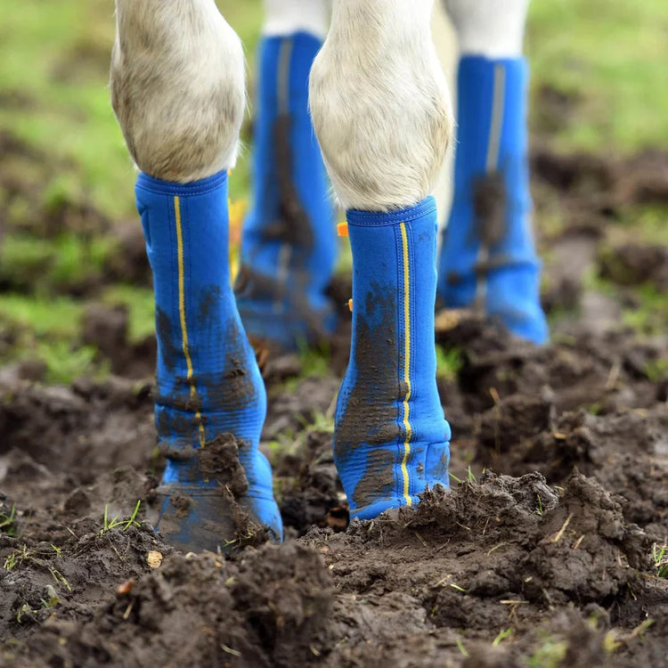 Turnout Boots - N P Equestrian & Pet Supplies Ltd 