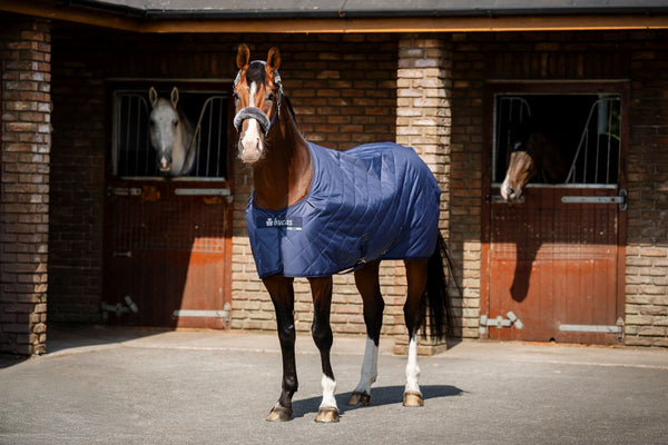 Bucas Stable Rugs & Sheets