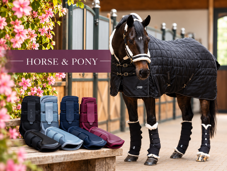 Horse & Pony - N P Equestrian & Pet Supplies Ltd 