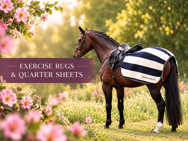 Exercise Rugs & Quarter Sheets - N P Equestrian & Pet Supplies Ltd 