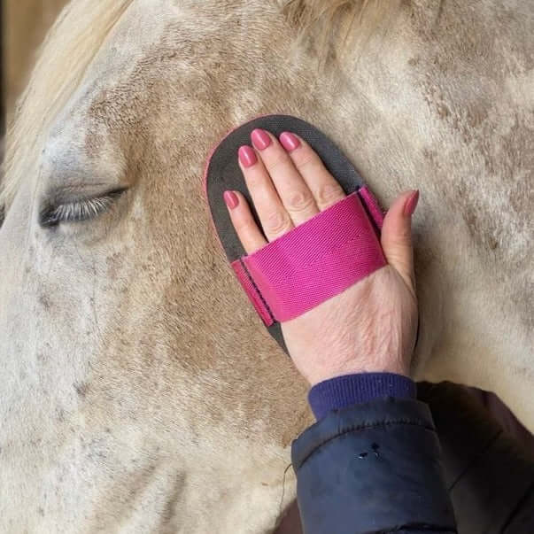 Horse Care & Grooming - N P Equestrian & Pet Supplies Ltd 