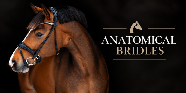 Anatomical Bridles - N P Equestrian & Pet Supplies Ltd 