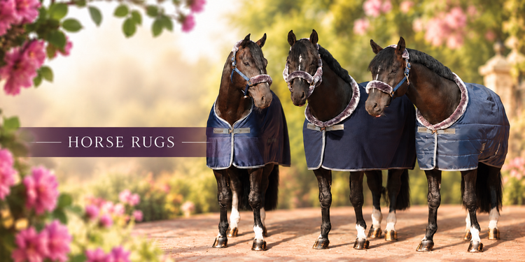 Horse Rugs