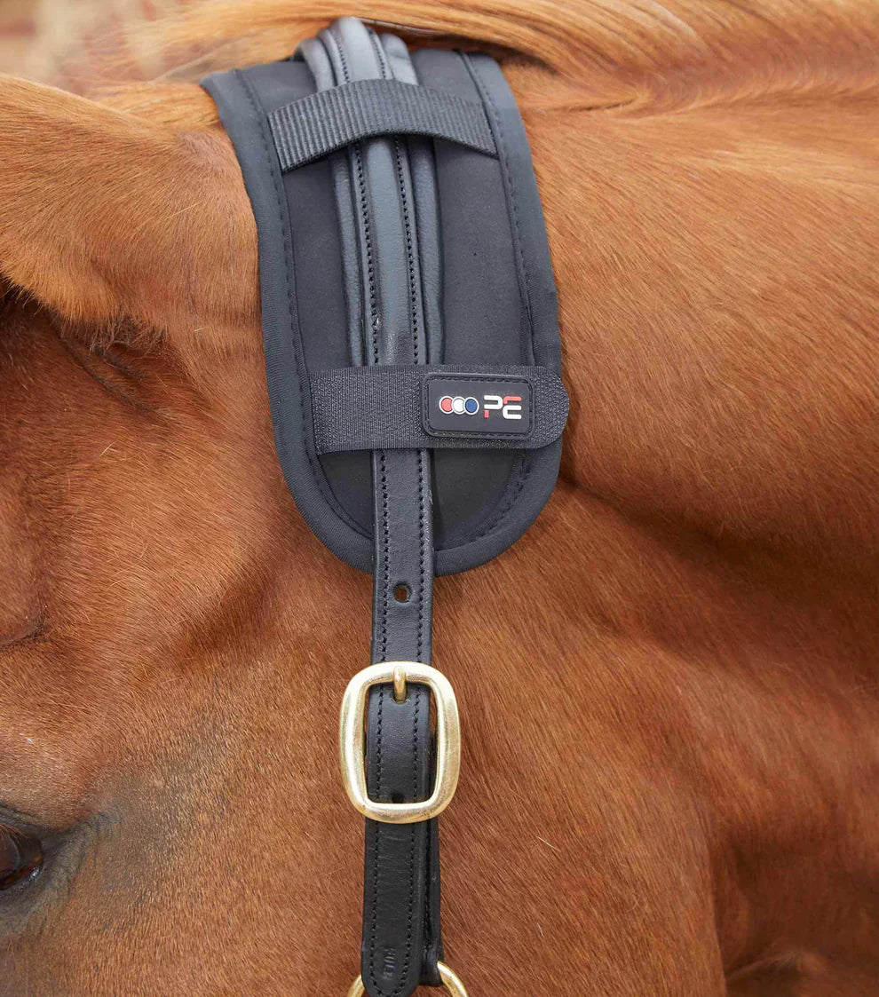 Therapy Accessories - N P Equestrian & Pet Supplies Ltd 