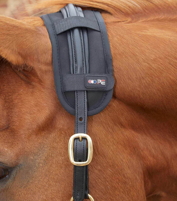 Therapy Accessories - N P Equestrian & Pet Supplies Ltd 