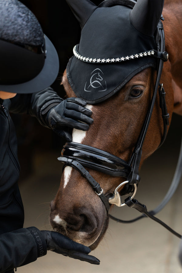 Acavallo Bridles