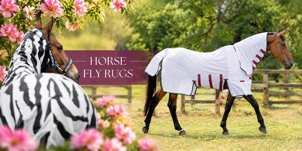 Horse Fly Rugs - N P Equestrian & Pet Supplies Ltd 