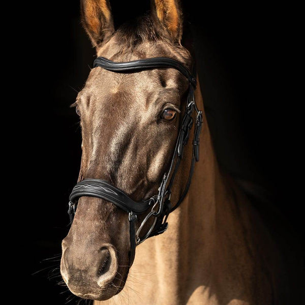 Bridles - N P Equestrian & Pet Supplies Ltd 