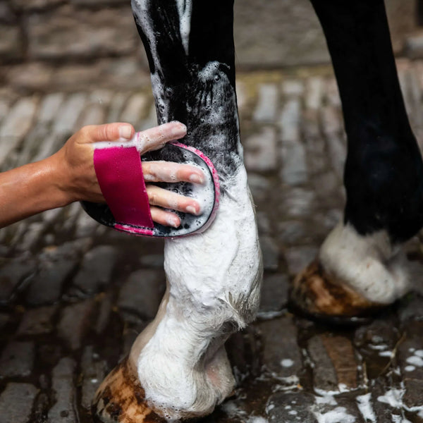 Bathing & Washing Brushes & Sponges - N P Equestrian & Pet Supplies Ltd 