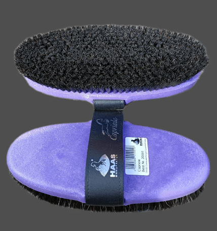 HAAS Capriole Brush - N P Equestrian & Pet Supplies Ltd 