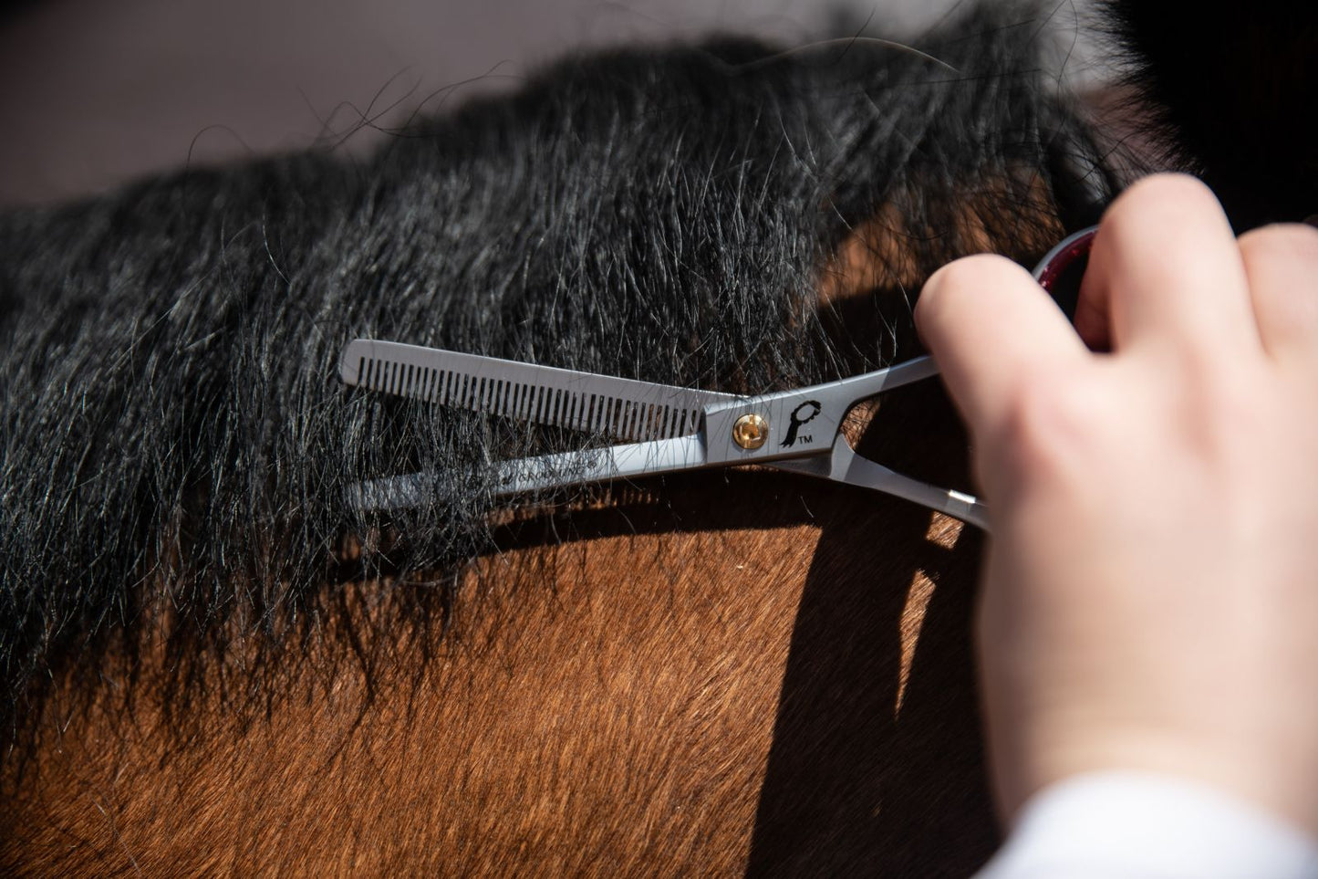Smart Grooming 6" Single Leg Thinning Scissor