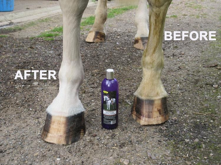 Smart Grooming Deep Purple Whitening Shampoo