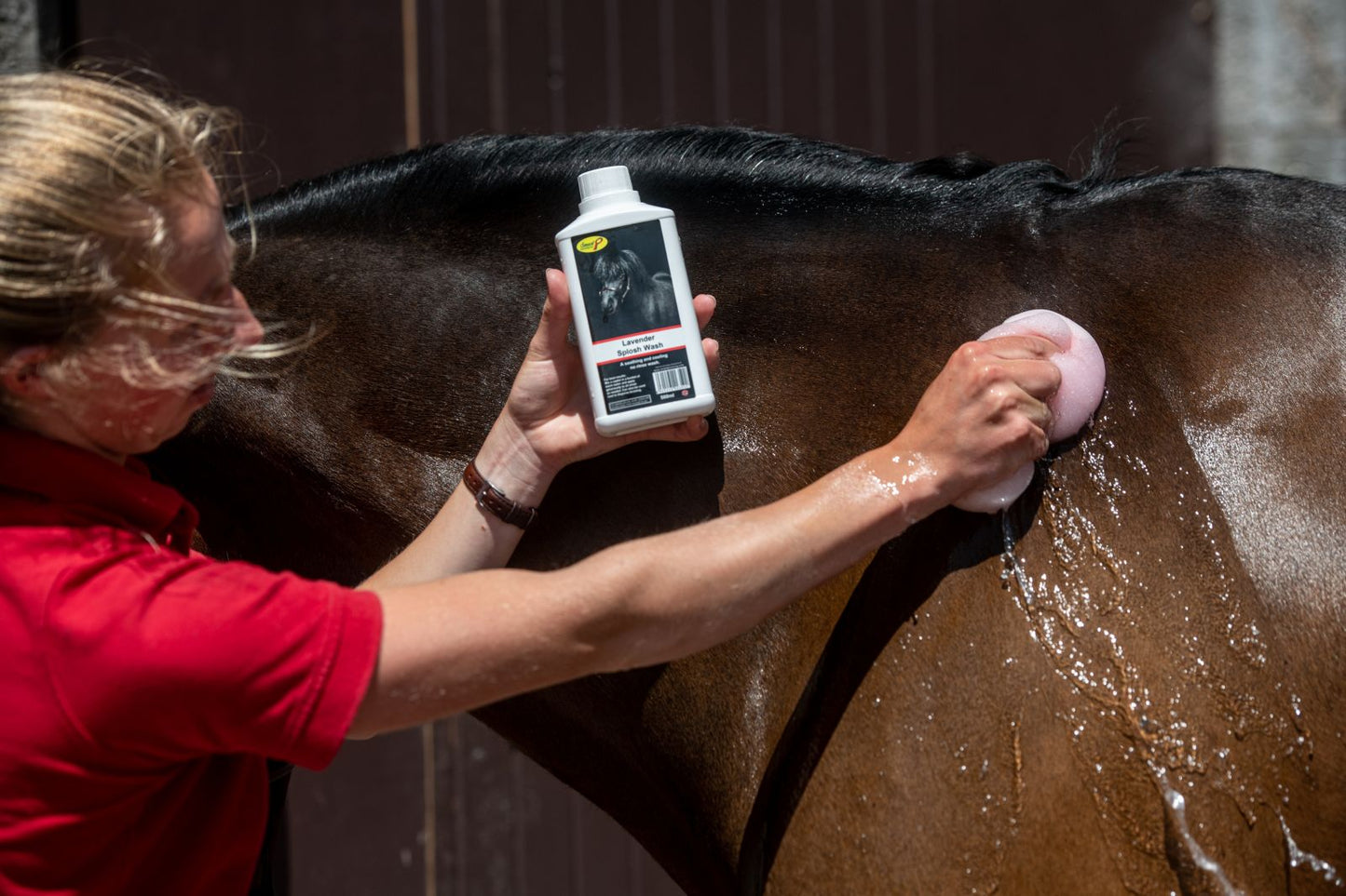 Smart Grooming Lavender Splosh Wash