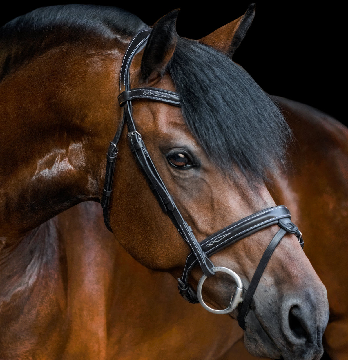 Lumiere Equestrian Milan Snaffle Bridle With Removeable Flash