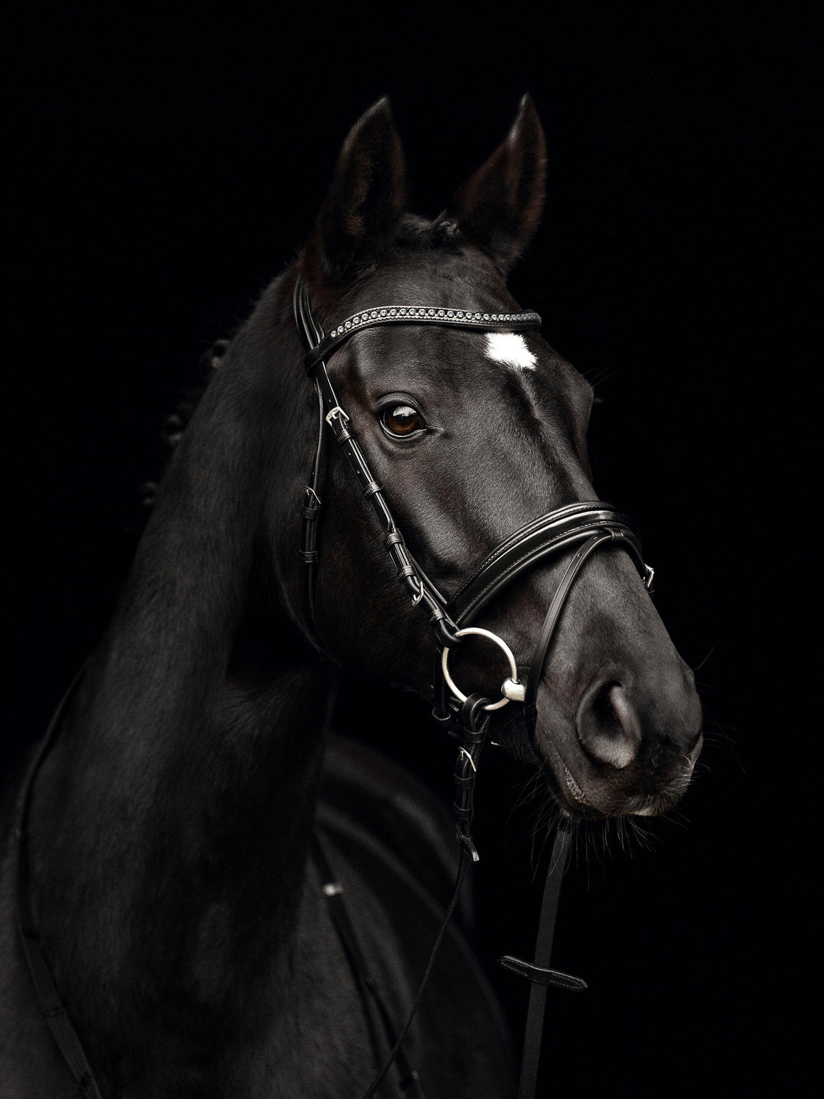 Kieffer Snaffle Bridle Comfort Paris - Black