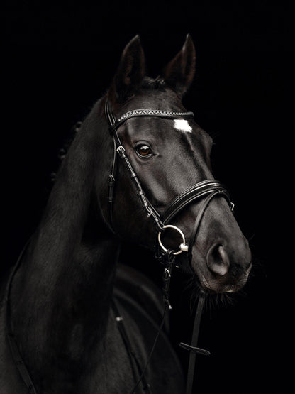 Kieffer Snaffle Bridle Comfort Paris - Black