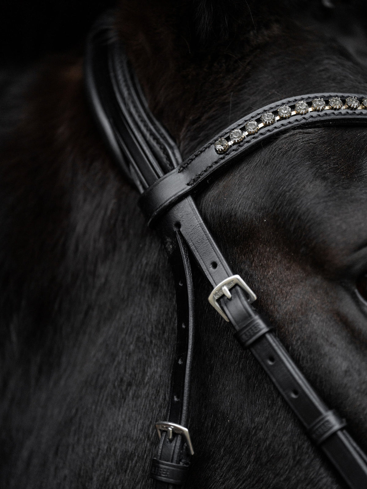 Kieffer Snaffle Bridle Comfort Paris - Black