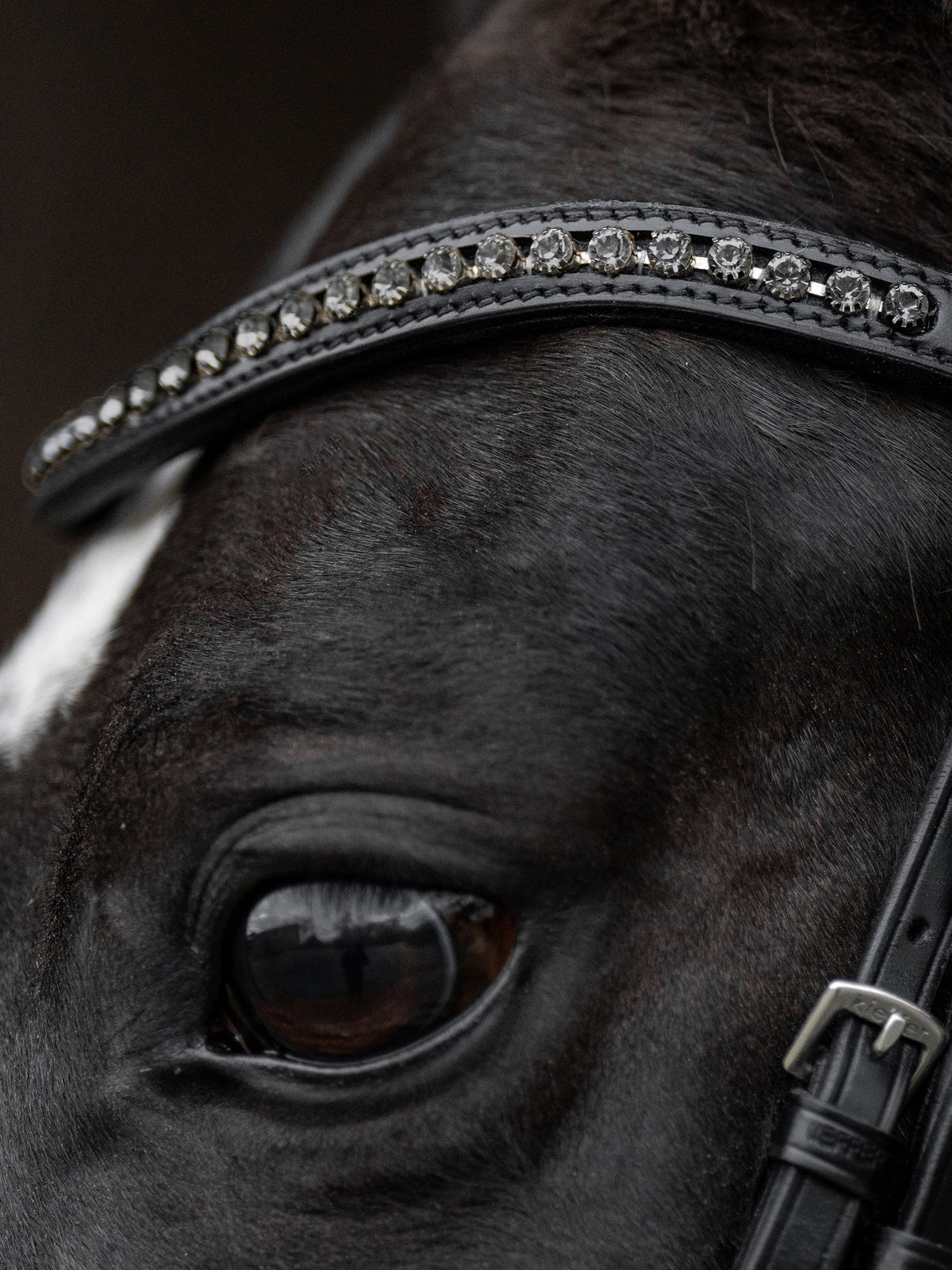Kieffer Snaffle Bridle Comfort Paris - Black