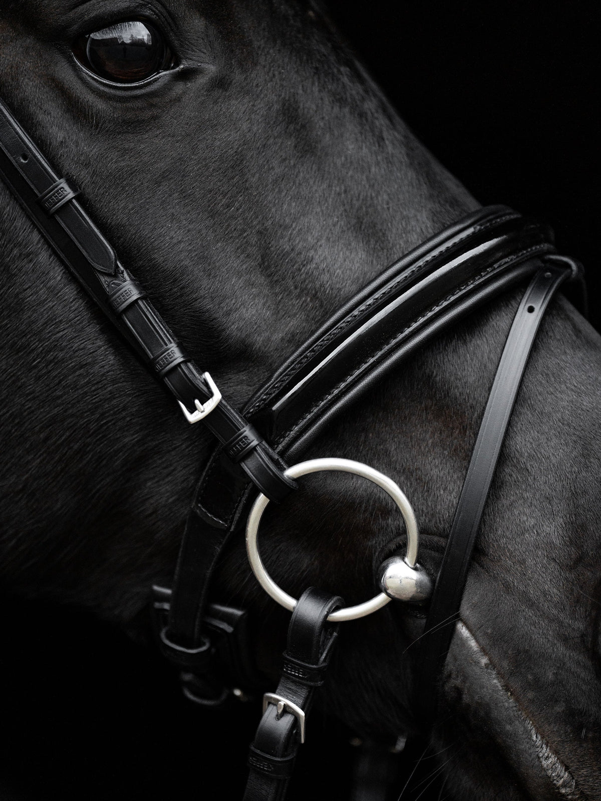 Kieffer Snaffle Bridle Comfort Paris - Black