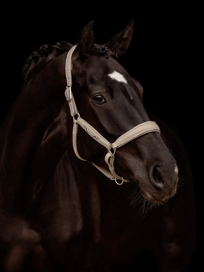 Kieffer Ultrasoft® Leather Headcollar - Taupe/Chrome