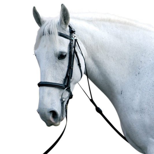 Hy Equestrian Chambon - N P Equestrian & Pet Supplies Ltd