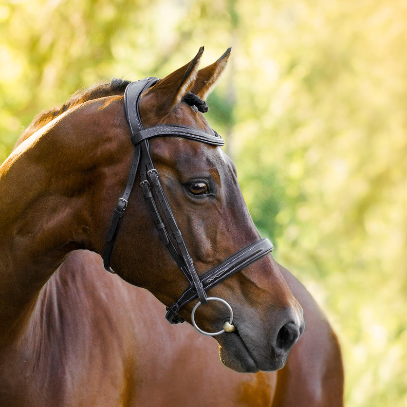 Lumiere Equestrian Milan Snaffle Bridle With Removeable Flash