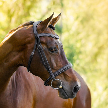 Lumiere Equestrian Milan Snaffle Bridle With Removeable Flash