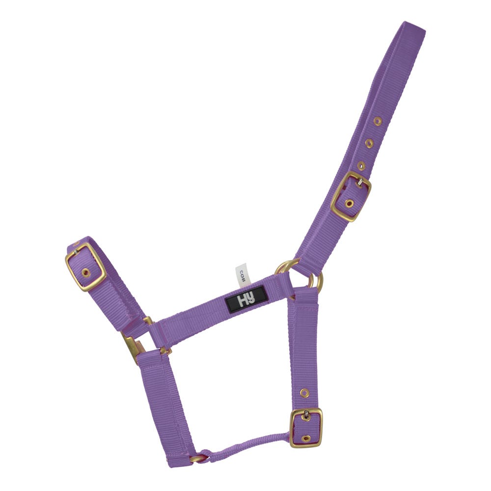 Hy Equestrian Holly Fully Adjustable Head Collar Purple