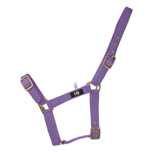 Hy Equestrian Holly Fully Adjustable Head Collar Purple