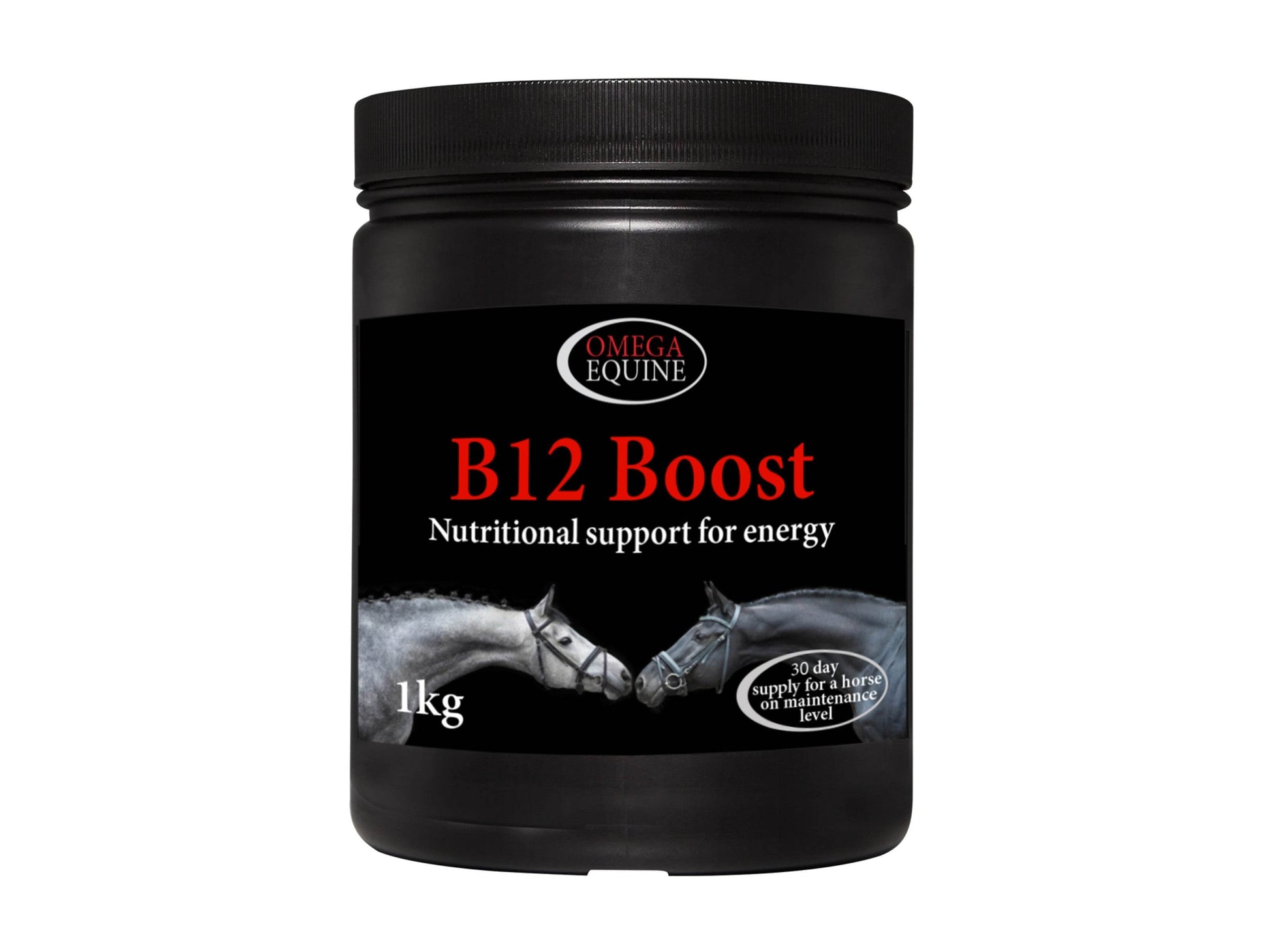 Omega Equine B12 Boost - N P Equestrian & Pet Supplies Ltd 