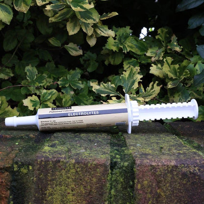 Supreme Products Electrolyte Syringe - N P Equestrian & Pet Supplies Ltd 