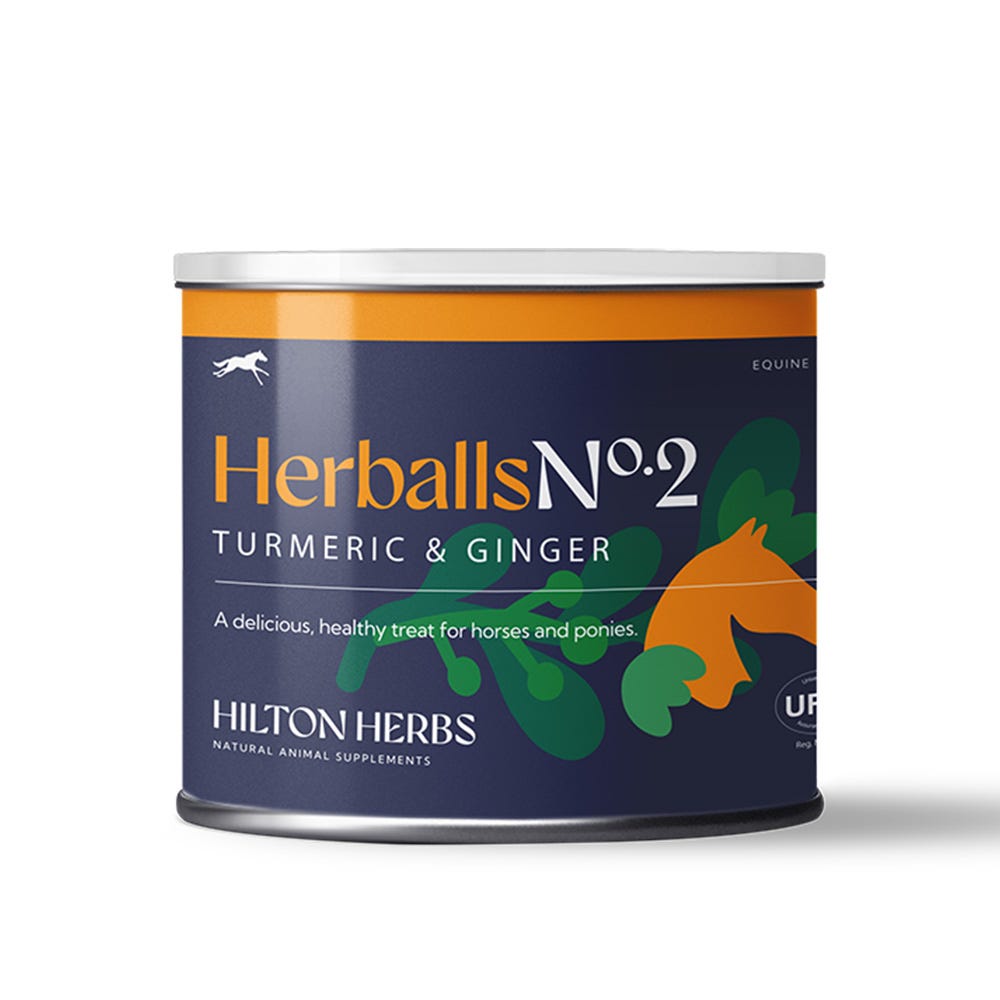 Hilton Herbs Herballs N°. 2 Turmeric & Ginger - N P Equestrian & Pet Supplies Ltd