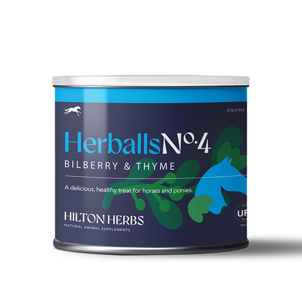Hilton Herbs Herballs N°. 4 Bilberry & Thyme - N P Equestrian & Pet Supplies Ltd