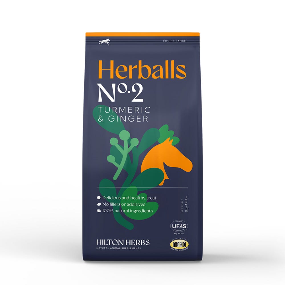 Hilton Herbs Herballs N°. 2 Turmeric & Ginger - N P Equestrian & Pet Supplies Ltd