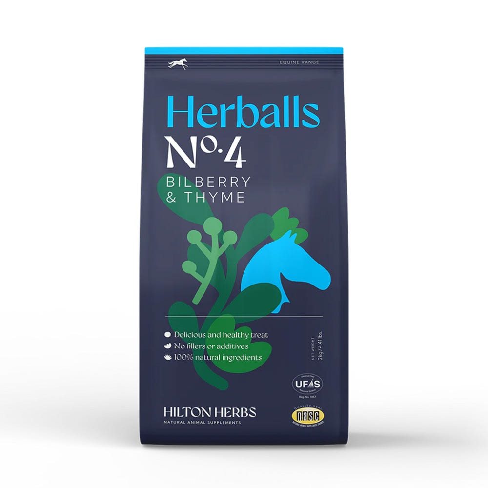 Hilton Herbs Herballs N°. 4 Bilberry & Thyme - N P Equestrian & Pet Supplies Ltd