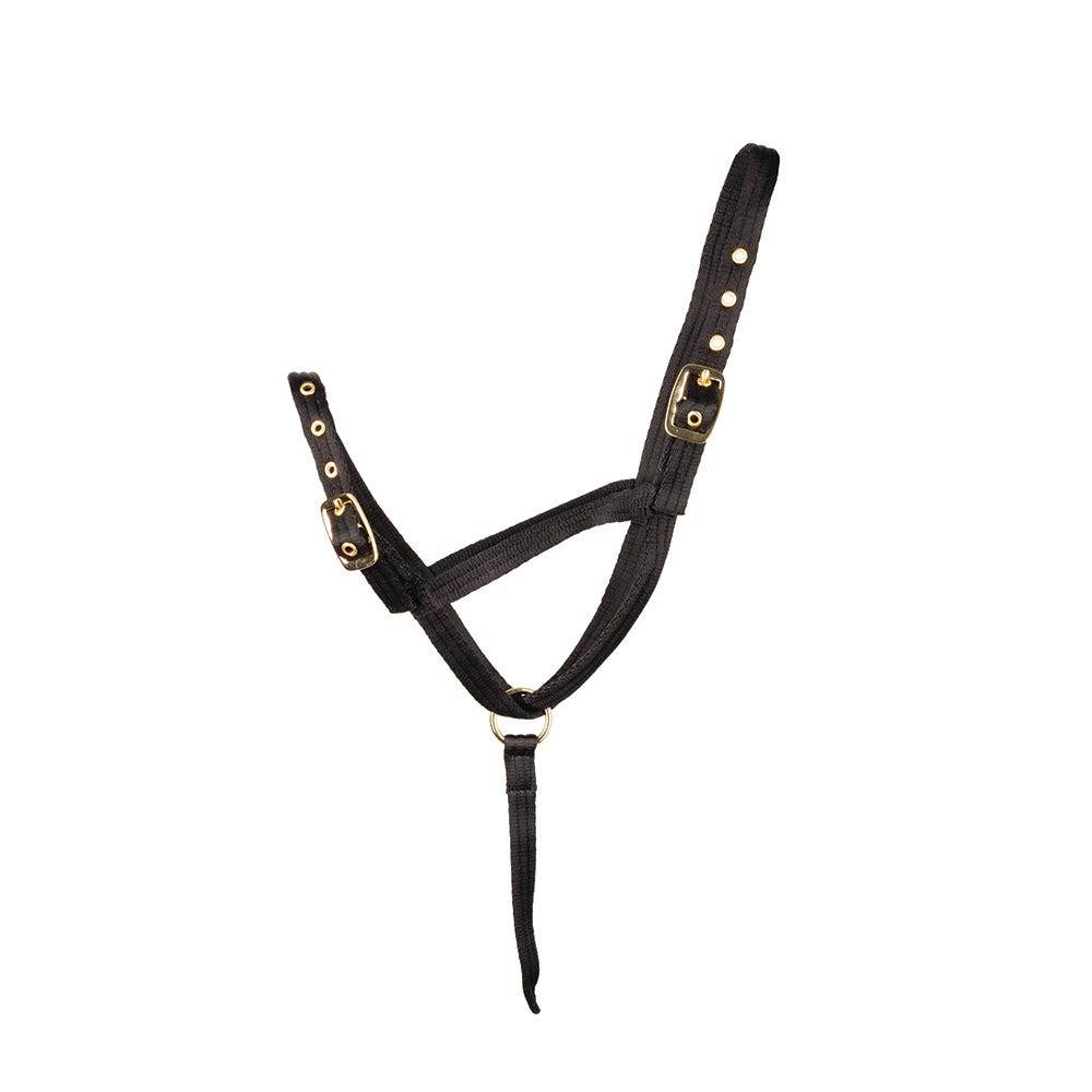 Hy Equestrian Foal Slip Halter Black - N P Equestrian & Pet Supplies Ltd 