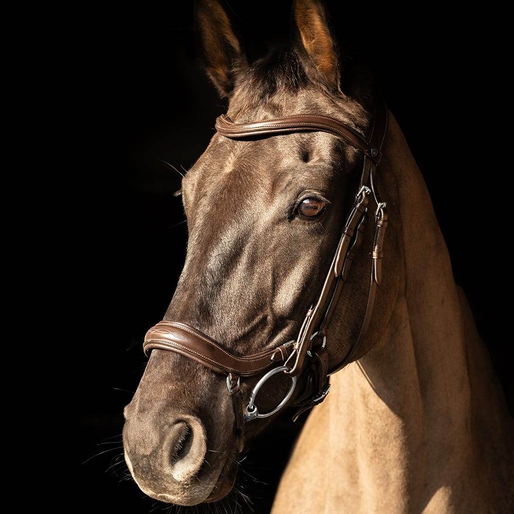 ProPresicce Pelle Drop Leather Bridle by Hy Equestrian - N P Equestrian & Pet Supplies Ltd 