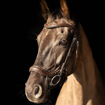 ProPresicce Pelle Drop Leather Bridle by Hy Equestrian - N P Equestrian & Pet Supplies Ltd 