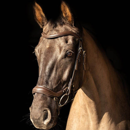 ProPresicce Pelle Drop Leather Bridle by Hy Equestrian - N P Equestrian & Pet Supplies Ltd 