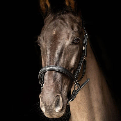 ProPresicce Softy Leather Head Collar by Hy Equestrian - N P Equestrian & Pet Supplies Ltd 