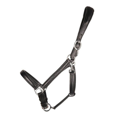 ProPresicce Softy Leather Head Collar by Hy Equestrian - N P Equestrian & Pet Supplies Ltd 