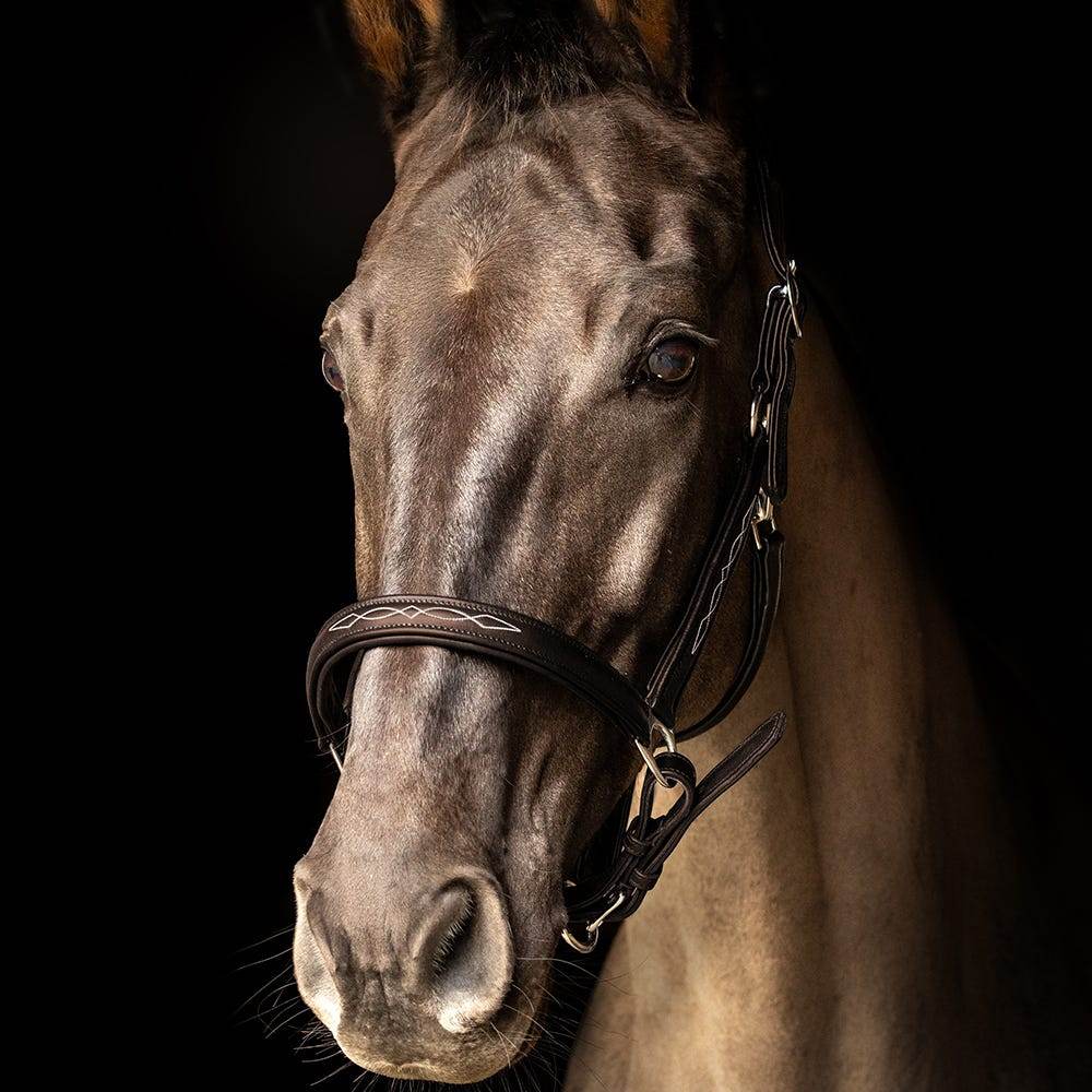 ProPresicce Softy Leather Head Collar by Hy Equestrian - N P Equestrian & Pet Supplies Ltd 