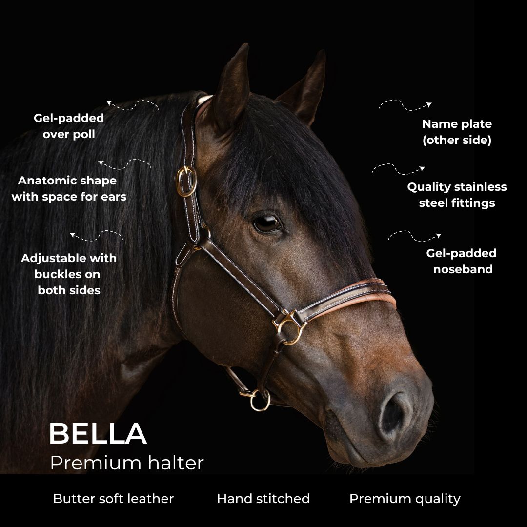 Lumiere Equestrian Bella Leather Headcollar