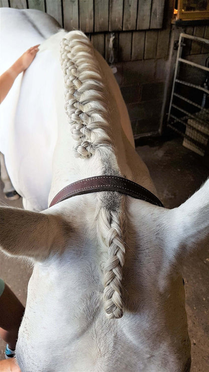 Smart Grooming Plaiting Gel