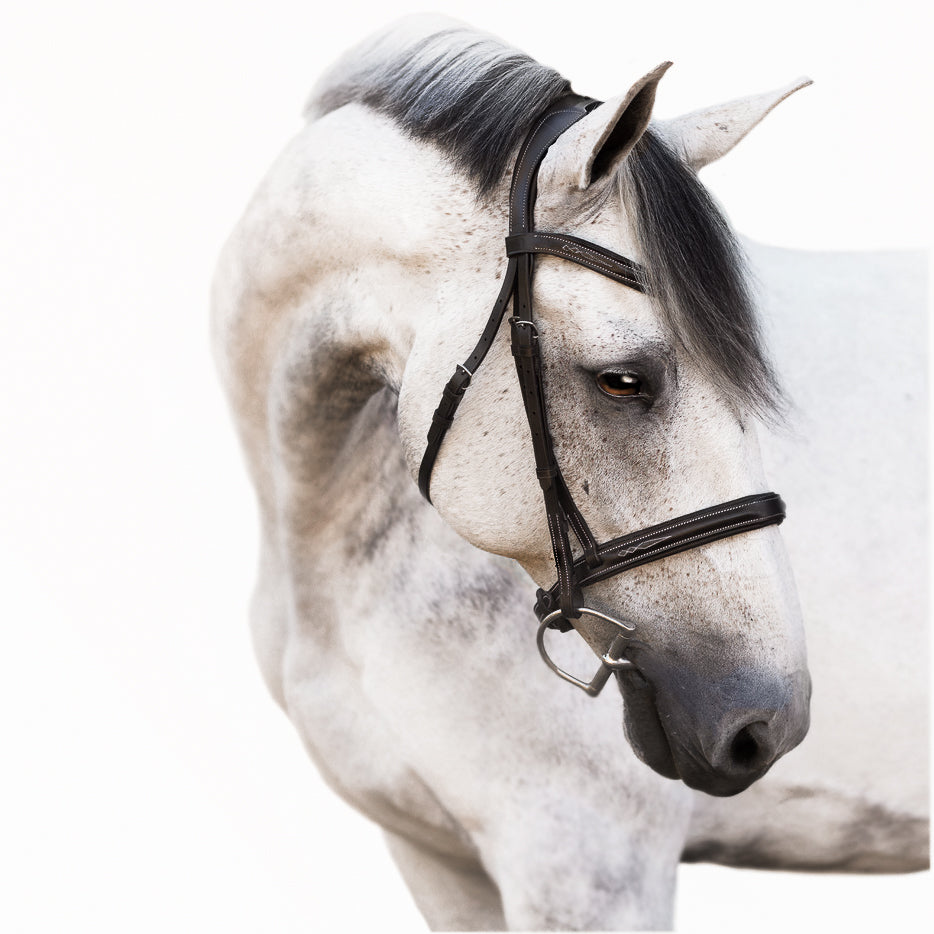 Lumiere Equestrian Milan Snaffle Bridle With Removeable Flash