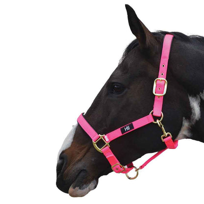 Hy Equestrian Grand Prix Head Collar Hot Pink
