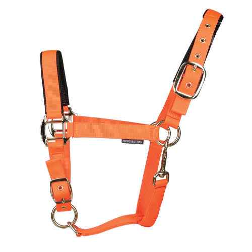 Hy Equestrian Grand Prix Head Collar Hot Orange
