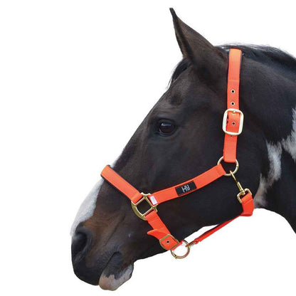 Hy Equestrian Grand Prix Head Collar Hot Orange